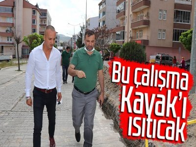 BU ÇALIŞMA KAVAK’I ISITACAK
