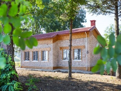 DEVLET DESTEKLİ ORMAN OKULU