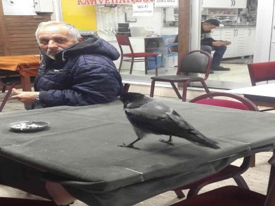 ESNAFIN  NEŞE KAYNAĞI 