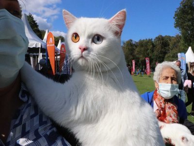 FESTİVAL GÖZDESİ OLDULAR 