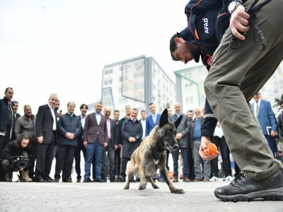 Görünümüne bakıp bina almayın