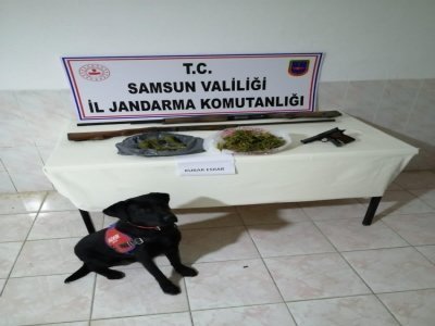 Jandarmadan uyuşturucu ve silah operasyonu