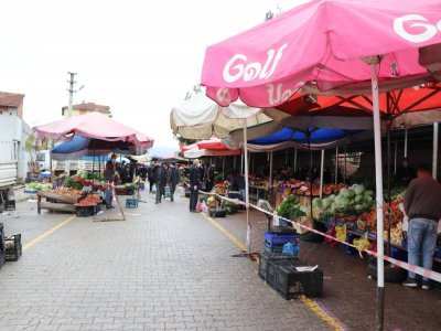 Kavak pazarı Çarşamba'ya alındı