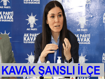 KAVAK ŞANSLI İLÇE