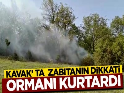 KAVAK’ TA ZABITANIN DİKKATİ ORMANI KURTARDI