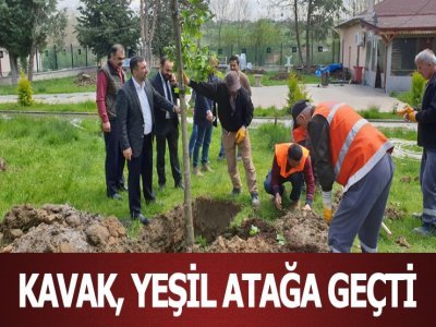 KAVAK, YEŞİL ATAĞA GEÇTİ