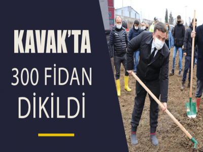 KAVAK’TA 300 FİDAN DİKİLDİ