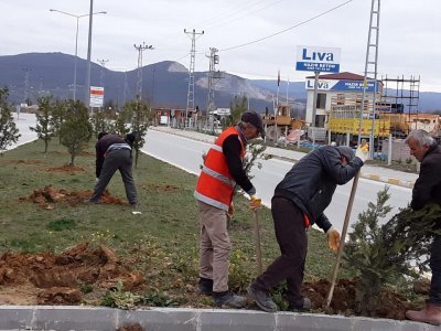  KAVAK’TA BAHAR HAREKÂTI