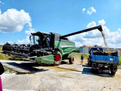 BUĞDAYI NEMLİ HASAT ETMEYİN