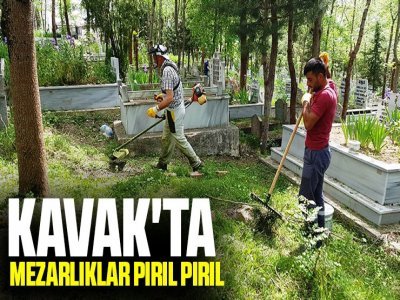 KAVAK'TA MEZARLIKLAR PIRIL PIRIL