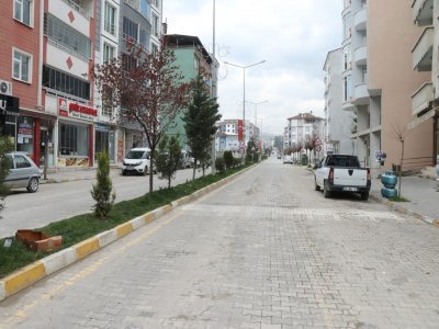 KAVAK’TA SESSİZ YAŞAM