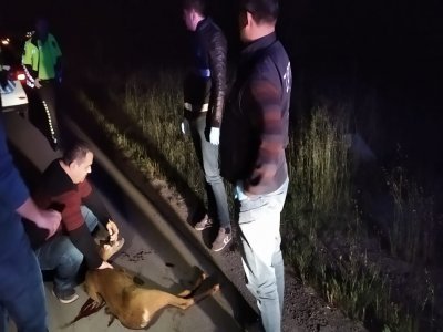 KAVAK’TA ZABITA SAMSUN’DA JANDARMA