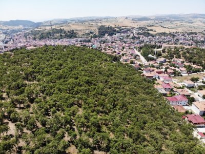 KILAVUZ ORMANI HALKA AÇILIYOR