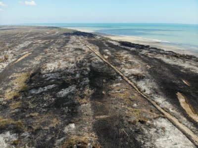  “Kızılırmak Deltası’nın takipçisiyiz”