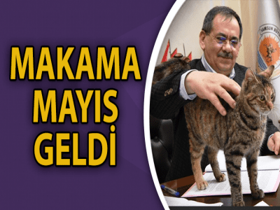 MAKAMA MAYIS GELDİ