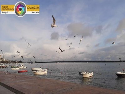 POLİS OBJEKTİFİNDEN SAMSUN