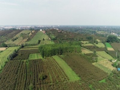 SAMSUN TARIMSAL ÜRETİMDE SÖZ SAHİBİ
