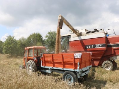 SAMSUN YERİ TARIM ÜRETİMİNDE TÜRKİYE BİRİNCİSİ