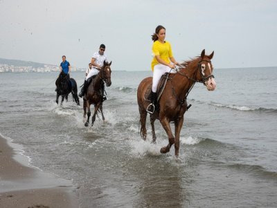 SAMSUN'DA ATLARIN DENİZ KEYFİ