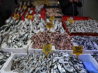 SAMSUN'DA BALIK SATIŞI ARTTI