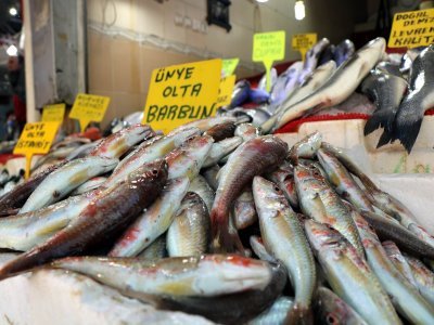 SAMSUN'DA BALIK TEZGAHLARI ŞENLENDİ