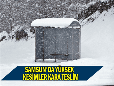 SAMSUN'DA YÜKSEK KESİMLER KARA TESLİM