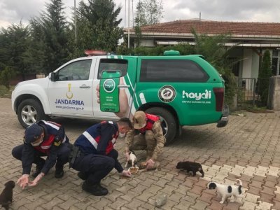 SAMSUN'UN  HAYDİ EKİPLERİ TAKİPTE