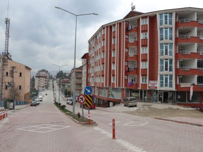 Sessiz Kavak