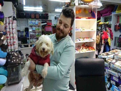 ŞİFRELİ SATIŞ, GELİN VE DAMAT ARIYORUZ