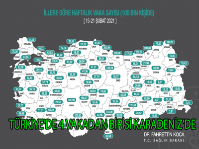 TÜRKİYE'DE 4 VAKADAN BİRİSİ KARADENİZ'DE