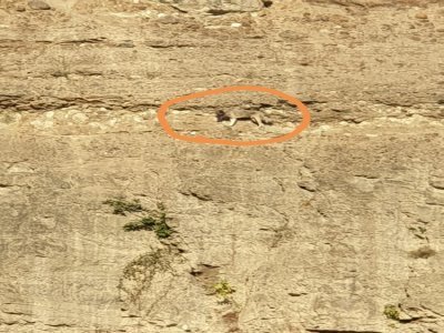 UÇURUMDA MAHSUR KALDI BÖYLE KURTARILDI