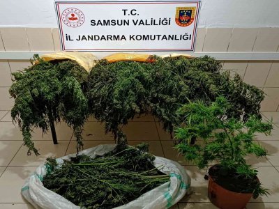 UYUŞTURUCU OPERASYONU 65 GÖZALTI