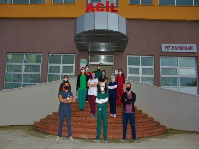 VETERİNER HEKİMLER YÜZ YÜZE EĞİTİME DEVAM EDİYORLAR