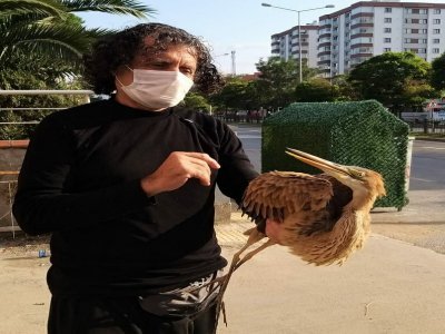 YARALI KUŞA SAHİP ÇIKTILAR
