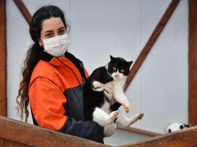 YAVRULARI YUVALARINDAN UZAKLAŞTIRMAYIN