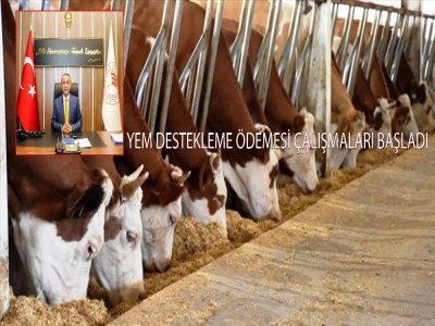 YEM DESTEKLEME ÖDEMELERİ BAŞLADI