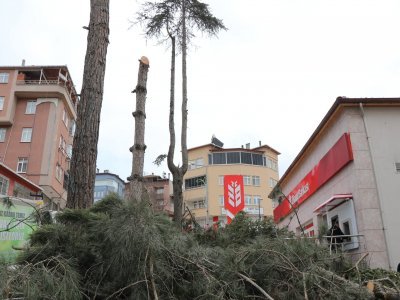 ZİRAAT BANKASI KAVAK ŞUBESİ YEŞİLİ KATLETTİ